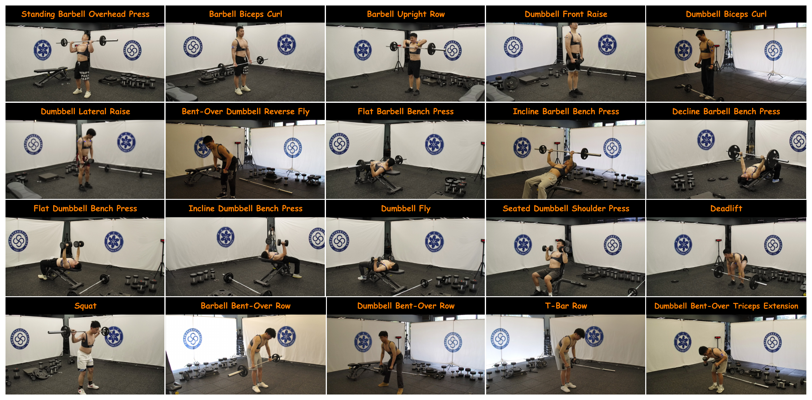 Twenty representative weight-loaded actions