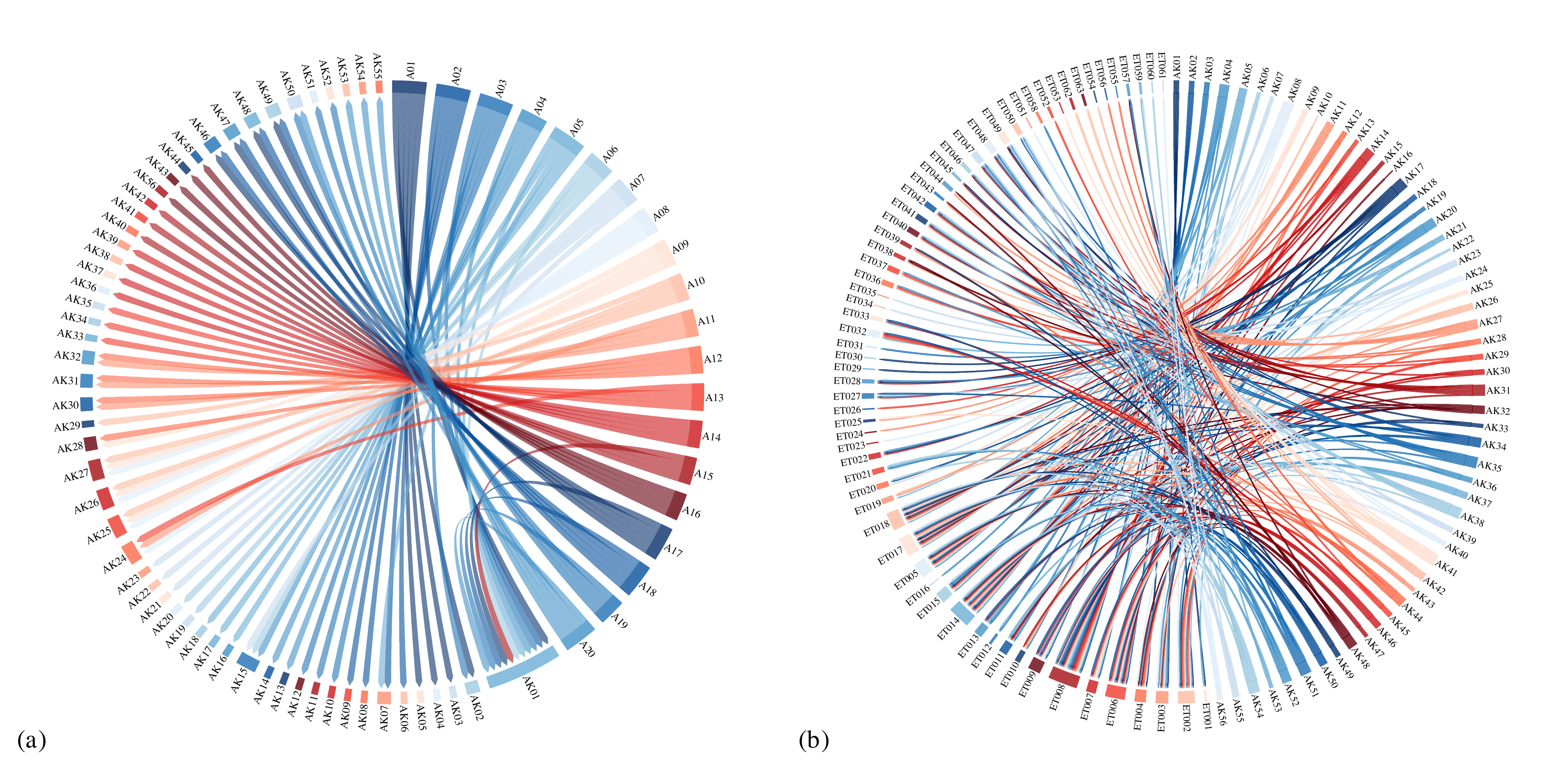 Fitness Knowledge Graph relationships